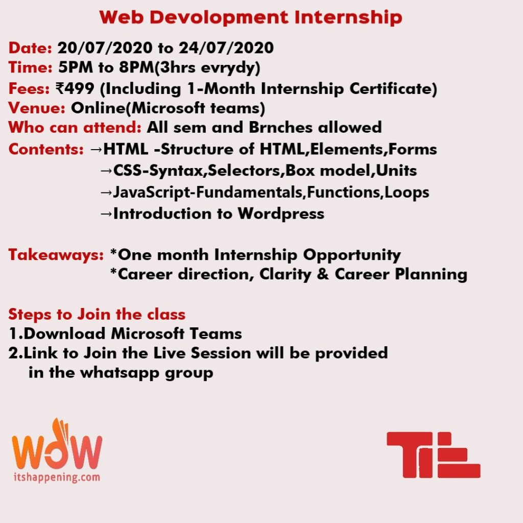 Picture of: Web Development Internship by TIE